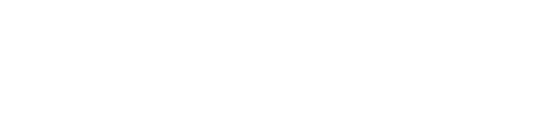 Reeltime Lite Logo