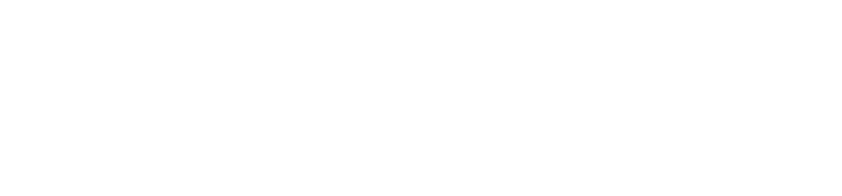 Reeltime Lite Logo