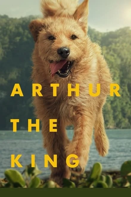Arthur the King Movie Poster